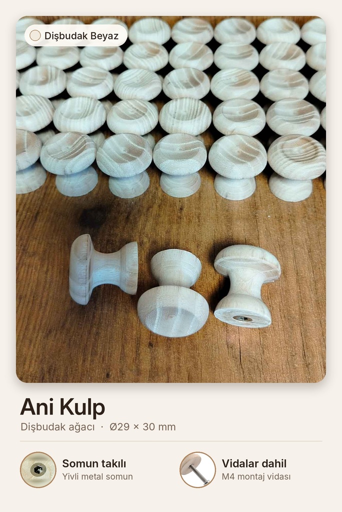 Ani Kulp Dişbudak Beyaz